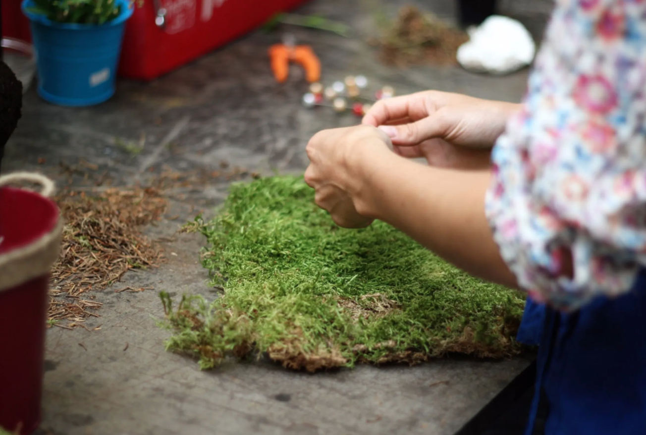 Atelier création florale Kokédama // Botao Fleurs